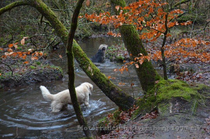 Wandertag 2016 - 117.jpg
